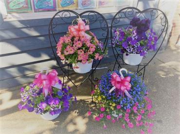 Bloomin\' Beauty